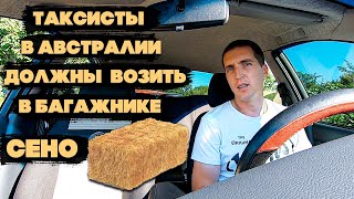 ТОП 10 ГЛУПЕЙШИХ АВТОМОБИЛЬНЫХ ЗАКОНОВ МИРА