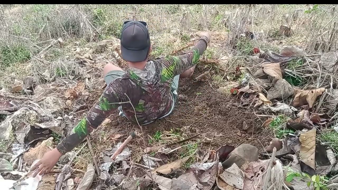 Perjuangan bolang bahan bonsai di hutan ndermawu