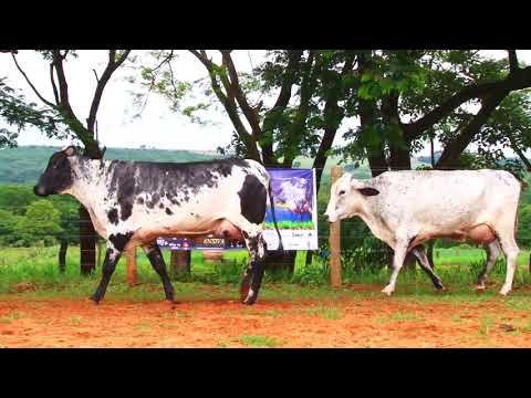 LOTE 03   1211 BA  4950 BM