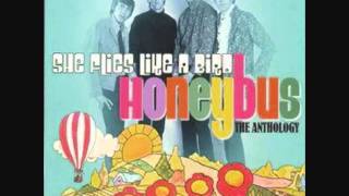 Video thumbnail of "HONEYBUS - For you"
