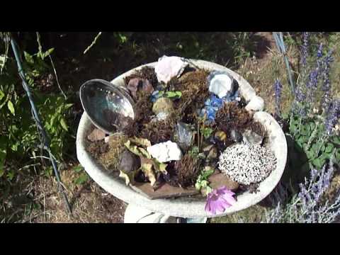 reverence for bees - water for bees with Jacqueline Freeman
