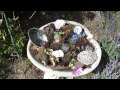 Reverence for bees - water
