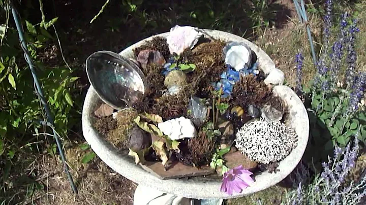 reverence for bees - water for bees with Jacquelin...