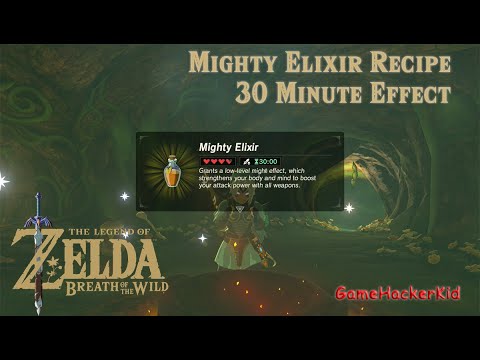 Cooking Elixir & Food Recipes - HIGH LEVEL 30 Minute Durations
