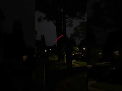 Moonlit Mastery: Bo Staff Spinning Under the Stars
