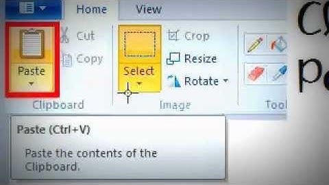 How to Screenshot with Paint ~Fantage