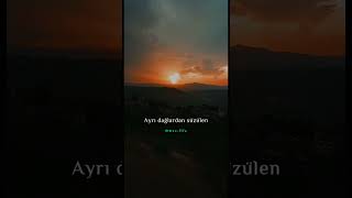 Sura İskəndərli - Biz Senle (Short Lyrics) Resimi