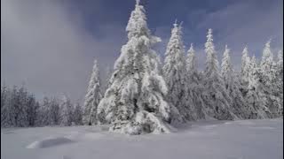 Sound of Praise - [ INSTRUMENTAL ] Engkau Maha Hadir