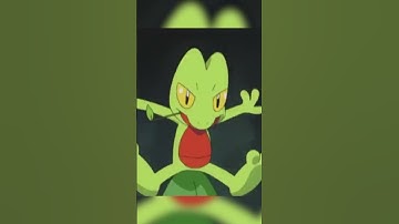 Treecko #pokemon #treecko