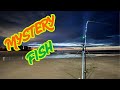 Can anyone identify this fish? possible UK first | UK Beach fishing | Walton on the Naze |