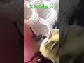 We lost it when we saw this!