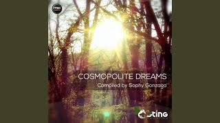 Stream Of Consciousnes