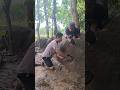 sembunyi di batu #shortvideo #nature #animals #viral #shorts #fyp #viralvideo