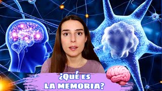 How MEMORY works