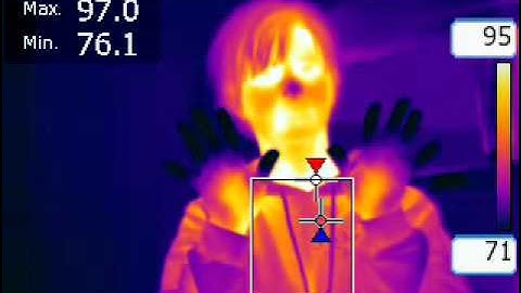 FLIR E60 Infrared Video