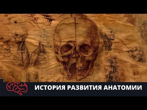 История развития анатомии Подготовка к ЕГЭ Подготовка к ОГЭ