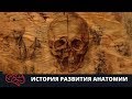 История развития анатомии Подготовка к ЕГЭ Подготовка к ОГЭ