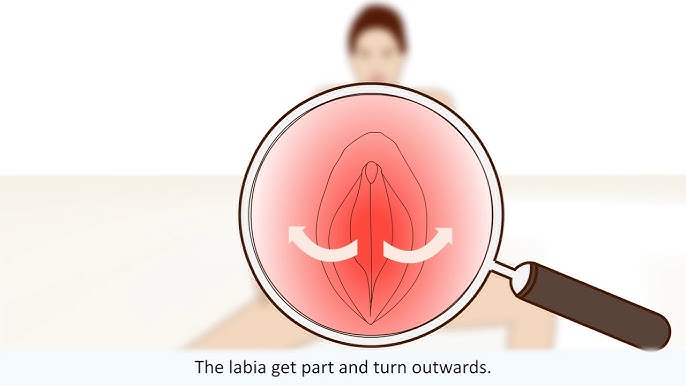 Woodman porno kasting koz yoshlari Magnitogorskda jinsiy aloqa, eshakda sikish