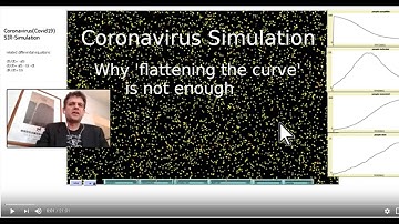 Coronavirus Simulation Model: Why flattening the curve is a not enough (english)