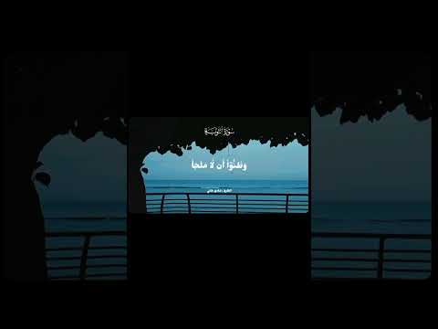 حتى اذا ضاقت عليهم الأرض بما رحبت القارئ شادي هاني قرآن اكسبلور لايك Pov قرآن مالي خلق احط هاشتاقات