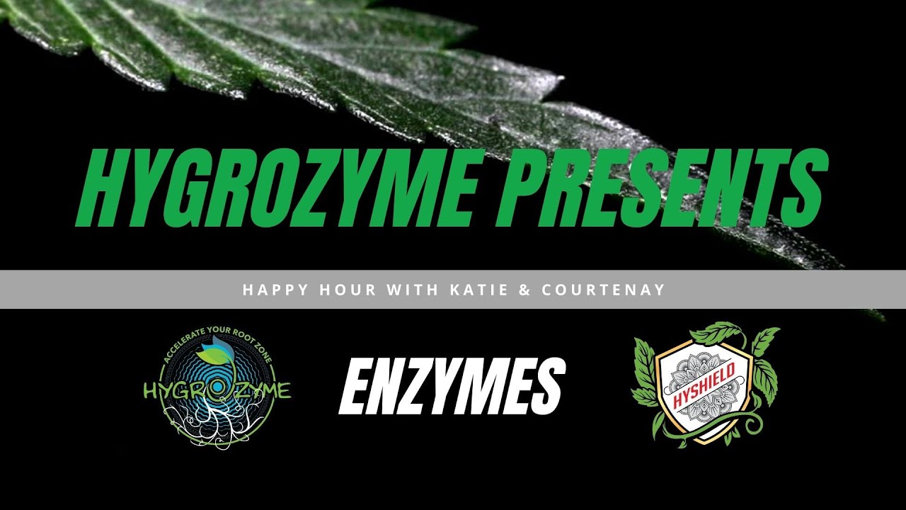 Happy Hour with Courtenay and Katie Vol IV : Enzymes