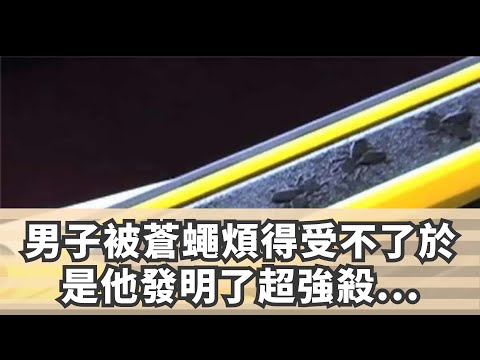 男子被蒼蠅煩得受不了，於是他發明了超強殺蠅機槍，彈藥居然是廚房調味料