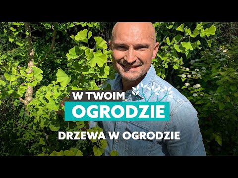 Wideo: Jakie drzewa rosną w południowej Kalifornii?