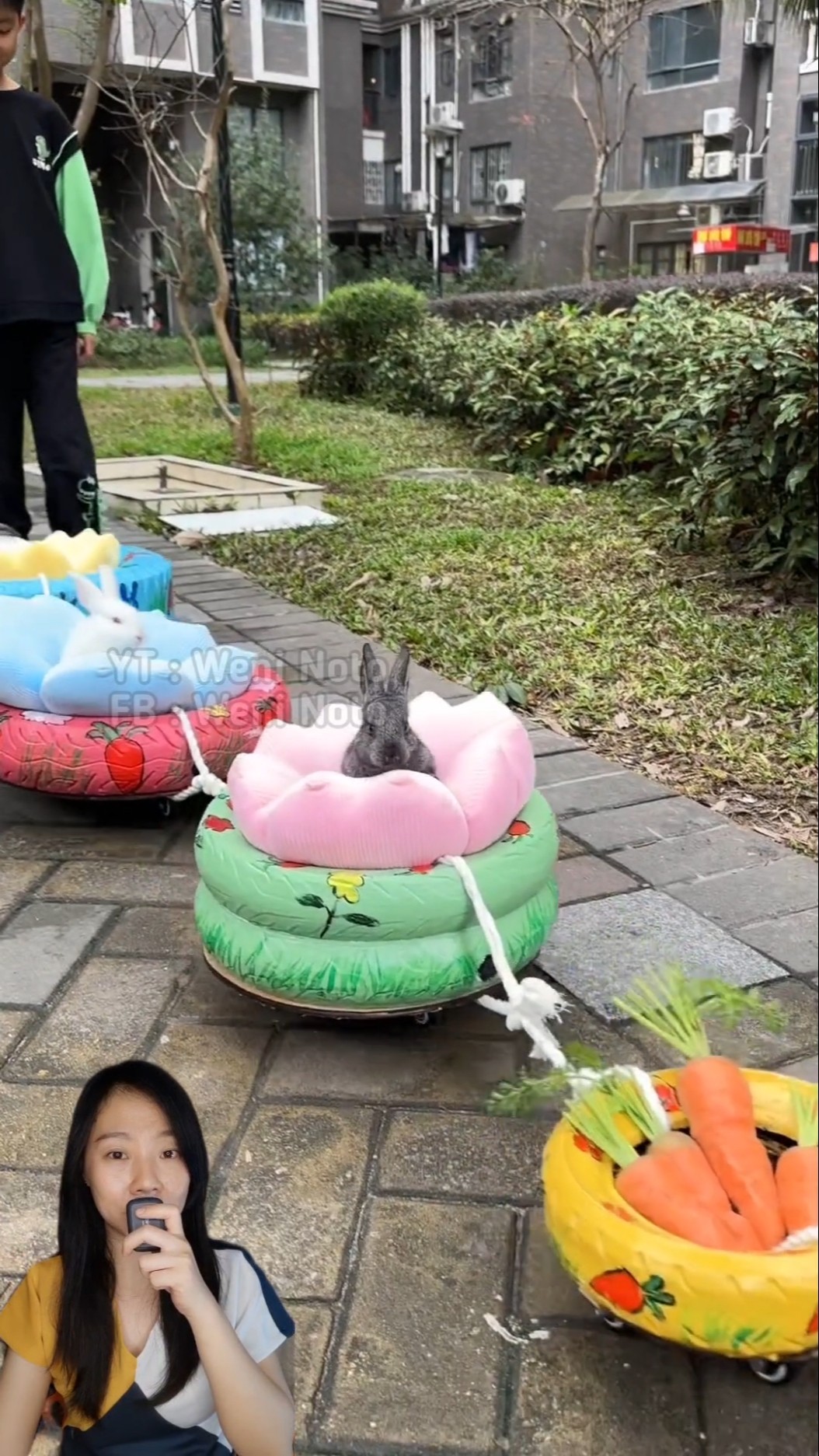 KAKAK BIKIN KERETA TARIK BUAT KELINCI MAIN KE TAMAN ‼️ #shortS #dubbing #funny