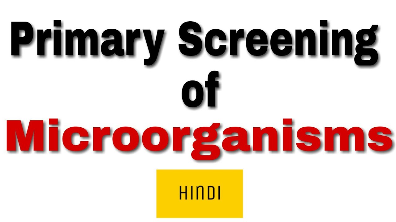 Primary Screening of in Hindi YouTube