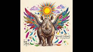 David Labeij - Flying Rhino [DL0006]