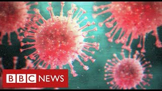 UK new coronavirus variant “out of control” as countries announce travel bans - BBC News