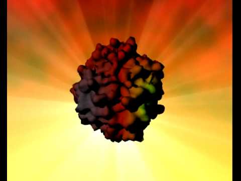 Atomic activity