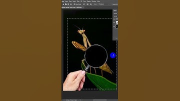 Magnifying Effect in Photoshop Tutorial | Easy Zoom Glass Effect | Wit Institute 2025