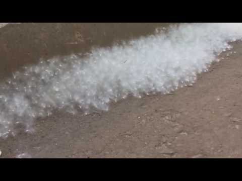 Video: When Poplar Fluff Appears