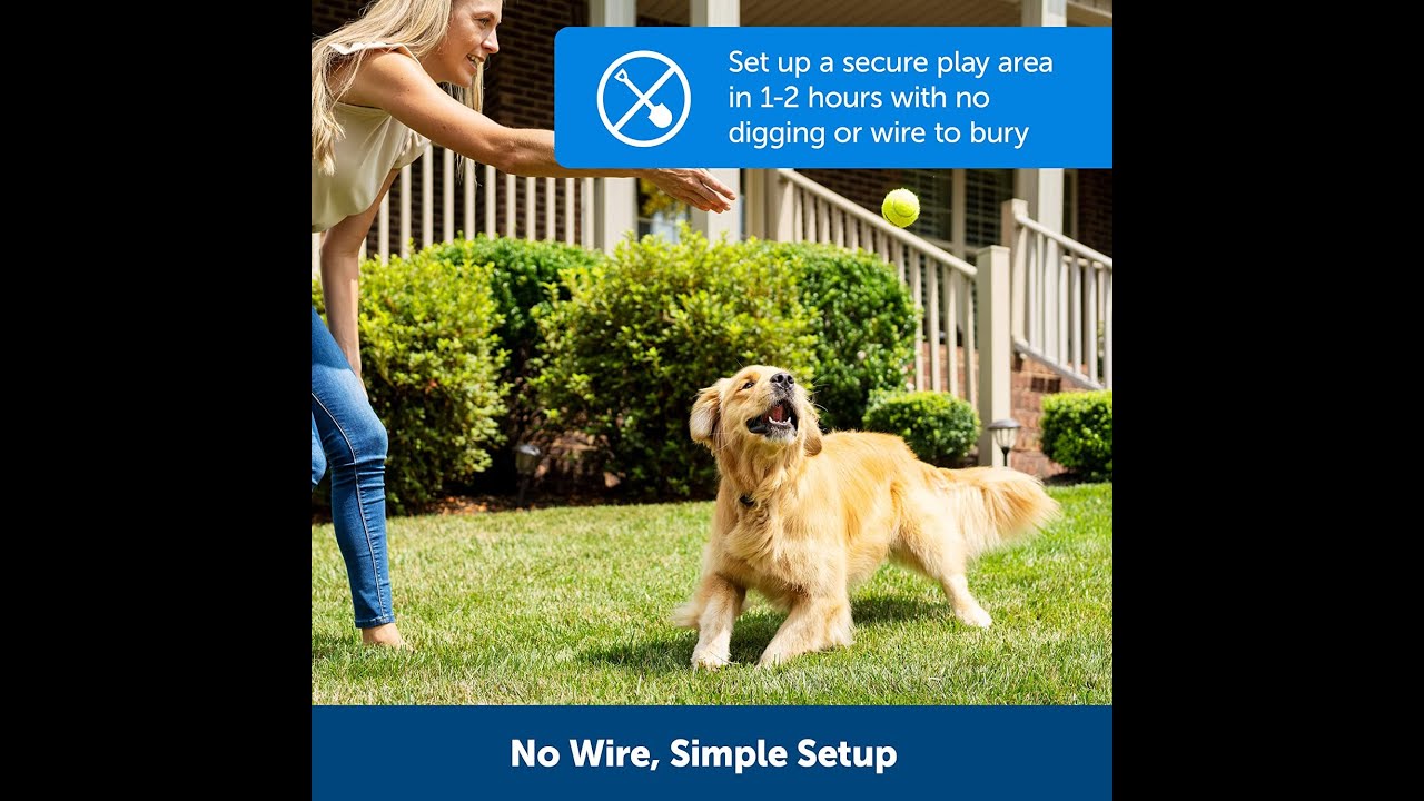 PetSafe Stay & Play Compact Wireless Pet Fence, LCD Screen to Adjust Circular Boundary, Secure up to