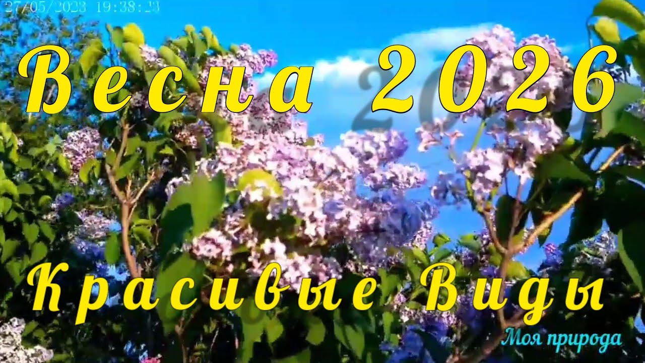 Весна 2026 красивые цветы Божественная музыка Красивые виды