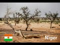 Expanding Africa's Great Green Wall