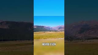 Moraine Park: Witness Elk Rutting Season in Rocky Mountain! #shorts
