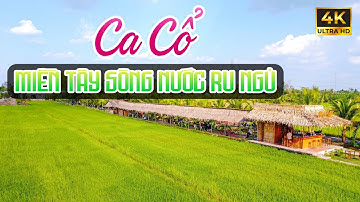 Vừa Nằm Vừa Nghe Ca Cổ Miền Tây Hơi Dài Ru Ngủ - Ca Cổ Cải Lương Xưa Dễ Nghe Dễ Ngủ🌾Tân Cổ Dân Ca