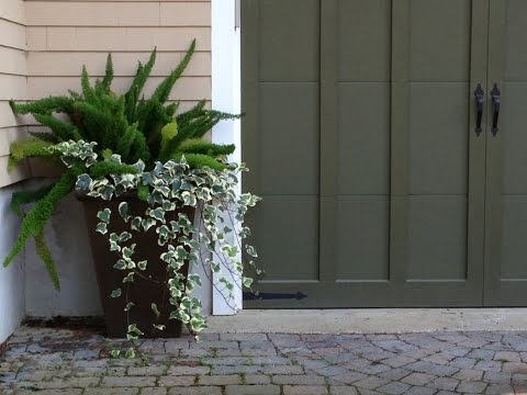Video: Klematis Kraštovaizdžio Dizaine (91 Nuotrauka): Gėlės Gėlių Lovoje Sode Ir Ant Tvoros, Mažos Vasarnamio Apdaila
