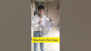 Newton