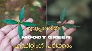 How to Edit Moody Green Photos//Lightroom