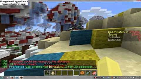 minecraft hunger games 1 SOLO
