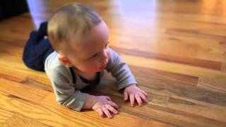 Baby Man Liam Crawling on Hardwood Floors  Clip 2
