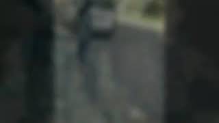 Pendik Şehitfetih Ez Bıro