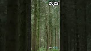 Willow Movie Vs Willow Series