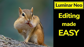 Luminar Neo. Using overlays to color grade.