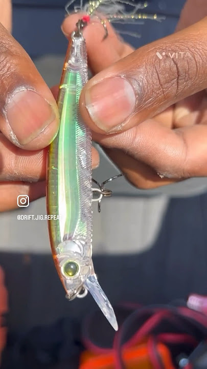 😱 Jerkbait 3DB (SP) 😱by #yozuri a suspending jerkbait. #fishing #bassfishing #LMB #SMB #RippinLips