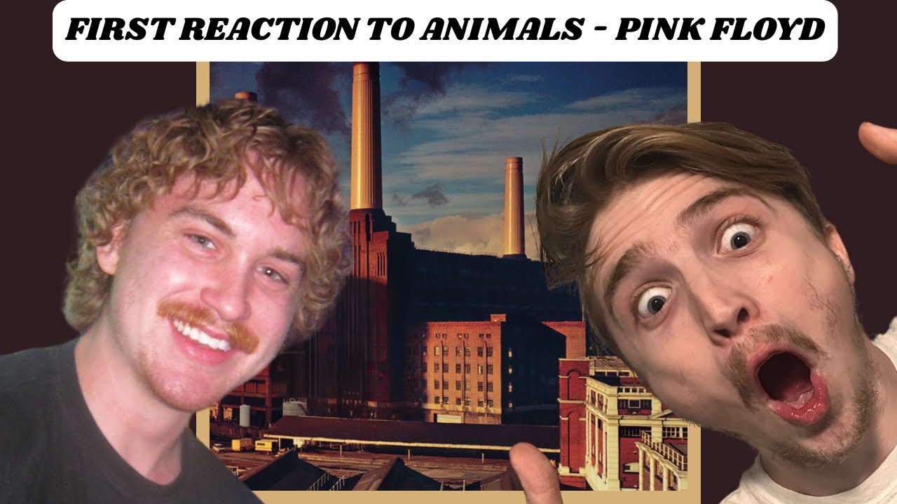 GEN Z KIDS REACT TO PINK FLOYD - ANIMALS FOR THE FIRST TIME