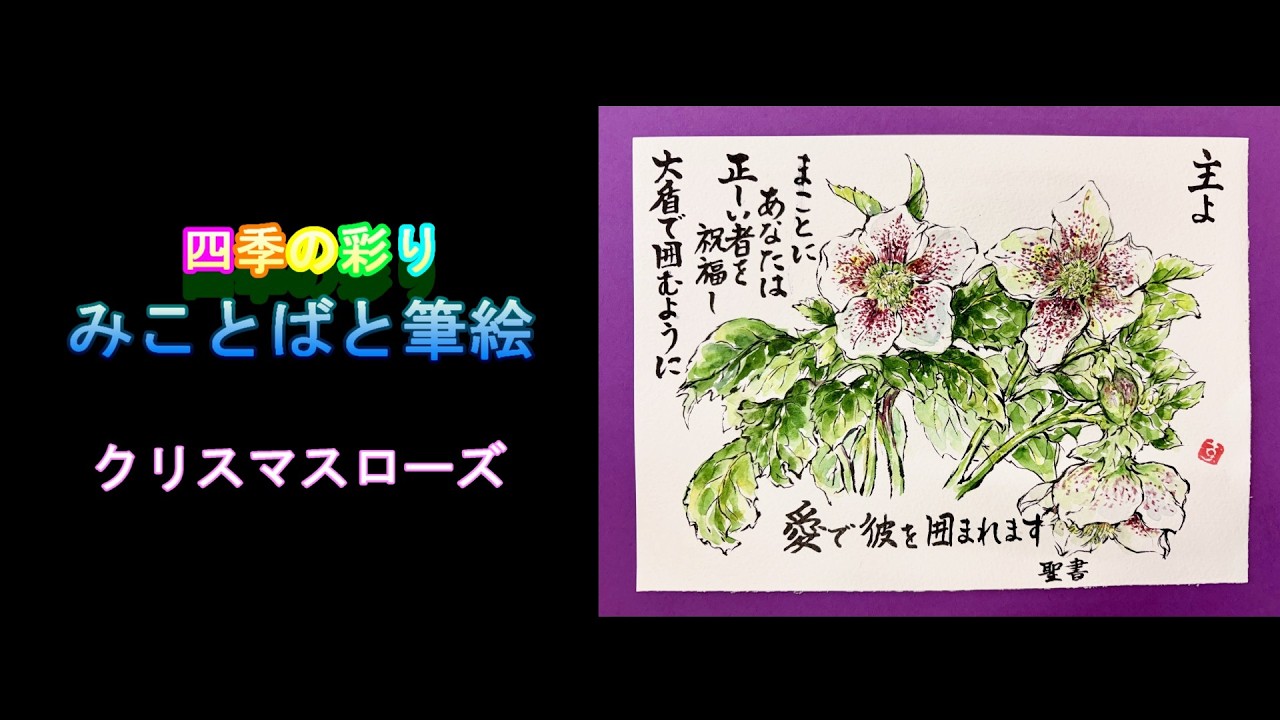 四季の彩り みことばと筆絵 クリスマスローズ